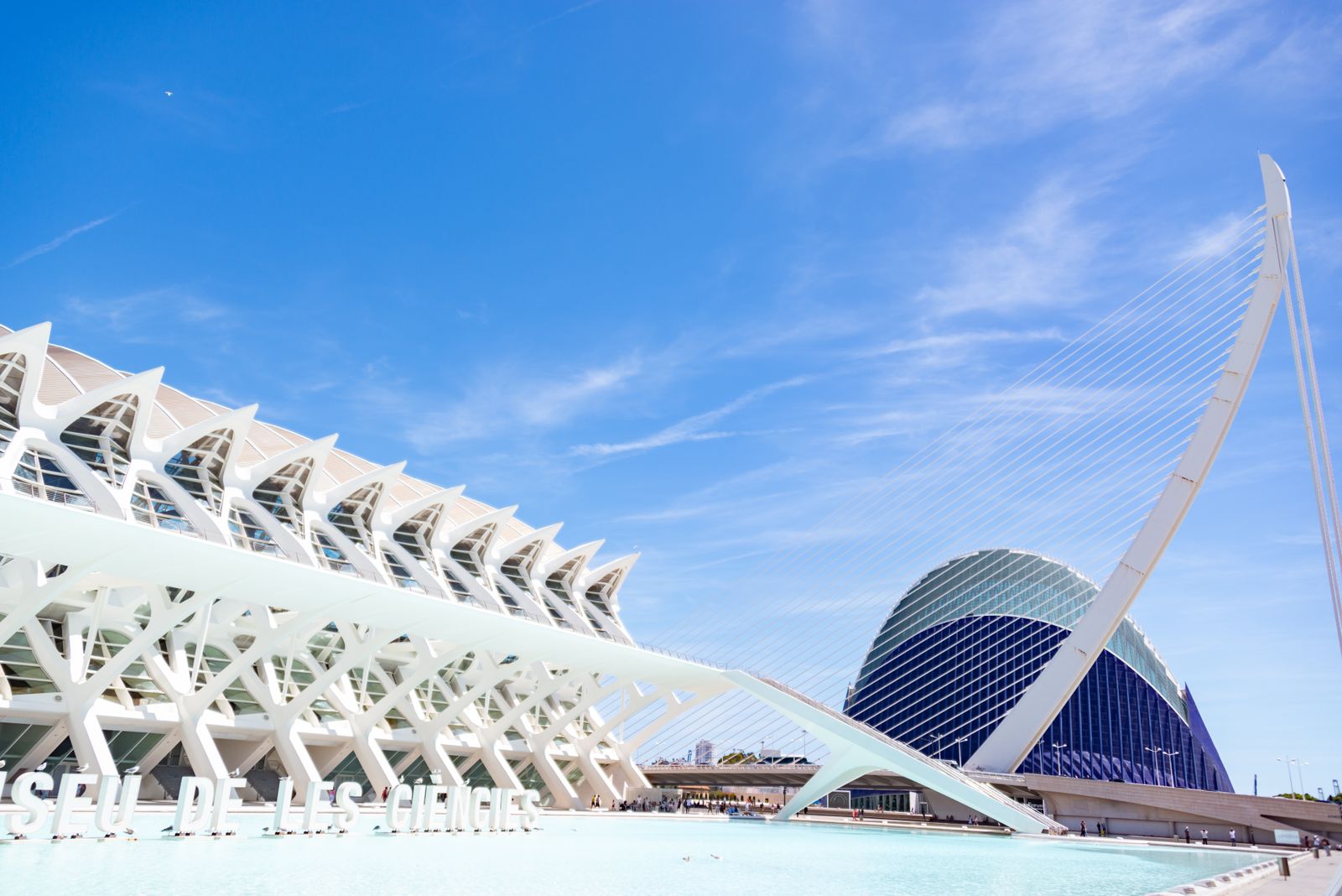 Fachada del Museo de las Ciencias Príncipe Felipe en Valencia