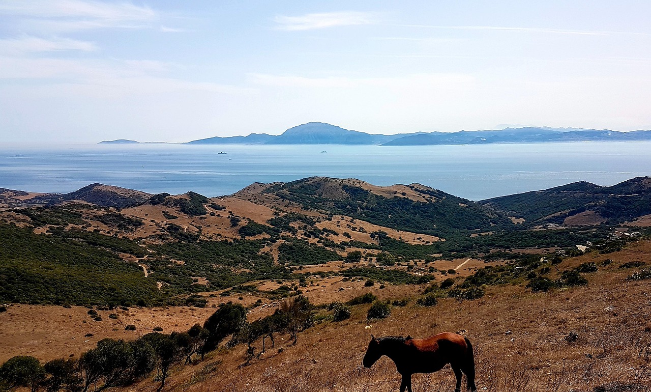 Vista del Estrecho de Gibraltar desde las colinas de Tarifa, con la costa de África al fondo